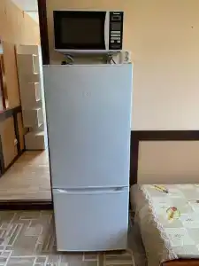 Дельфиниум - 111