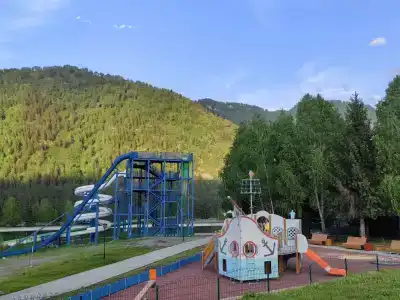 Трава - 194