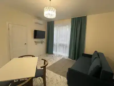 Кипарис - 21