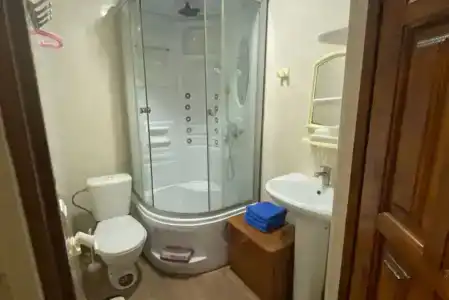 Сосны - 57