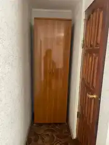 Сосны - 56