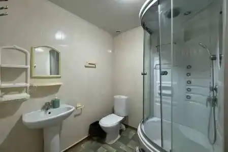 Сосны - 66