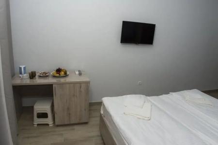 Sandro Palace Guest house - 23