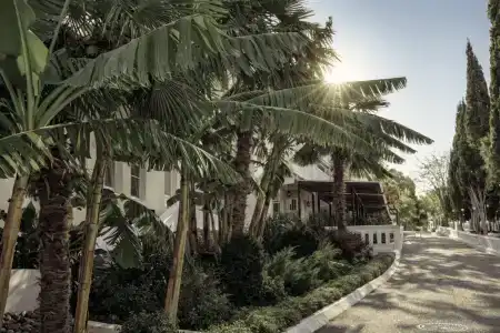 Arboria Spa Hotel By Morskoy Resort - 18