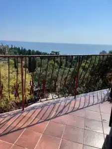 Кипарис - 205