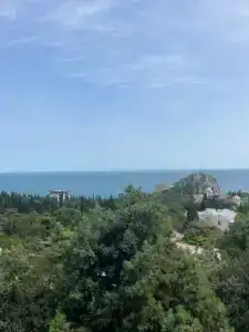 Кипарис - 206