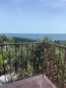 Кипарис - 207