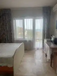 Кипарис - 211