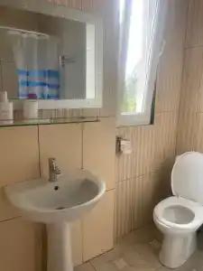 Кипарис - 215