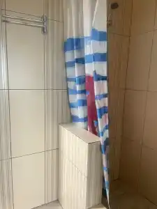 Кипарис - 216