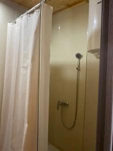Трава - 245