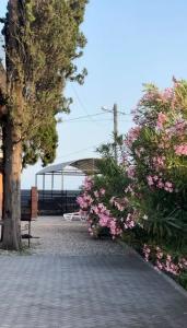 Шезлонг - 52