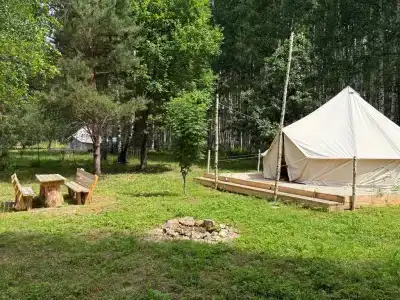Берег Грифона - 275