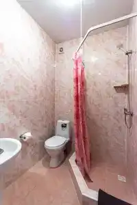 Фиеста - 95