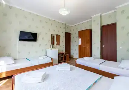 Фиеста - 121