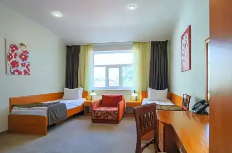 Бристоль - 220