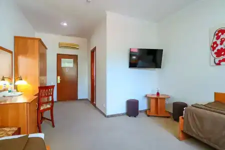 Бристоль - 221