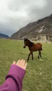 Сказка Балкария - 69