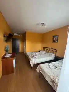 Розовый Фламинго - 38