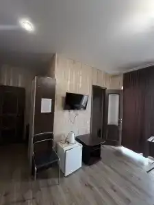 Палладион - 35