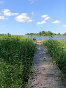 Свобода - 27