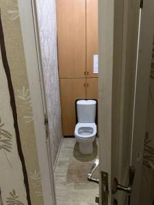 Ветка на Большой Московской - 119