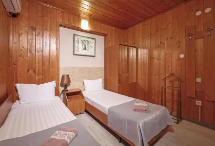 House Loris - 121