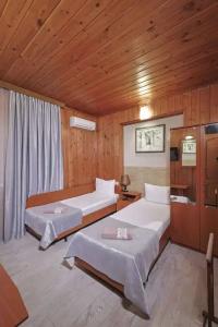 House Loris - 125