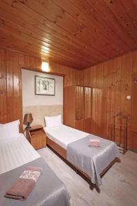 House Loris - 126