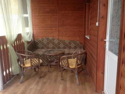 Катальпа - 18