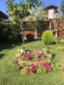 Катальпа - 20