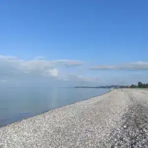 У Ларисы - 19