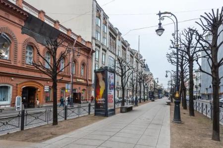 Невский Астер - 41