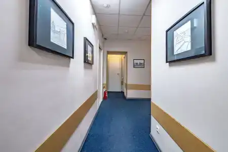 Невский Астер - 100