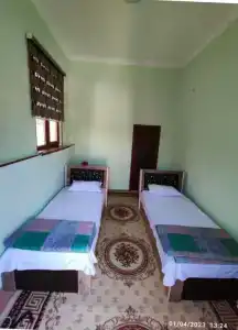 Sezam - 11