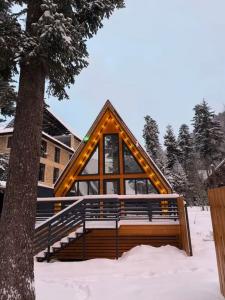 Место под соснами - 9