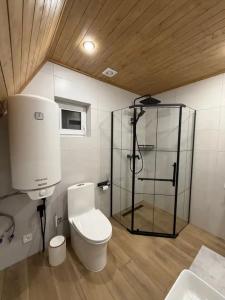 Место под соснами - 17