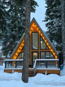 Место под соснами - 35