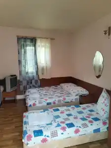 Елена на Толстого - 63