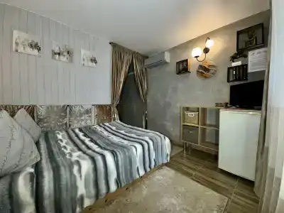 Дельфин - 25
