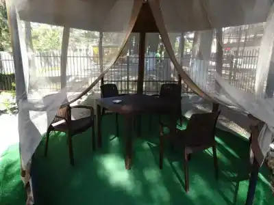Николь - 23