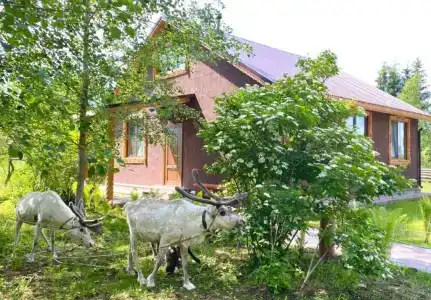 Охотничьи сезоны - 65