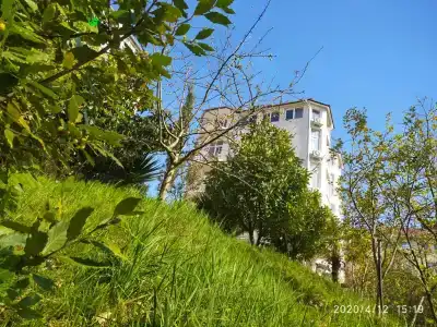 Таун парк - 47