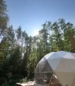 Бор - 38