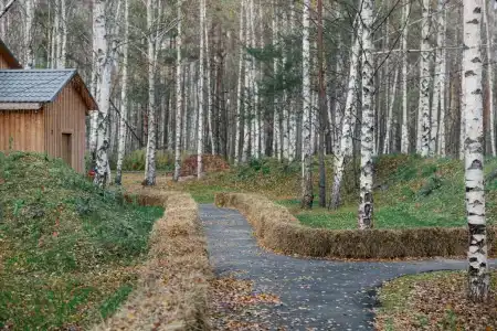 Поле - 78