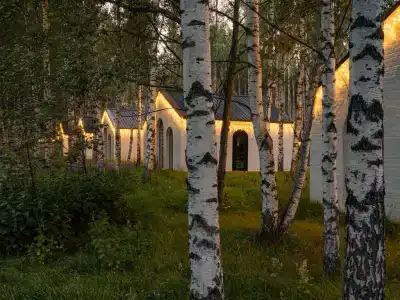 Поле - 134