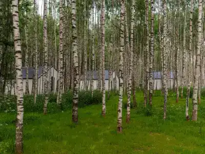 Поле - 152
