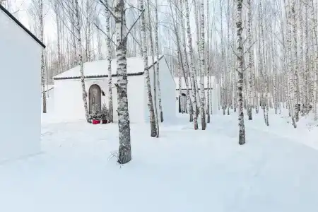 Поле - 154