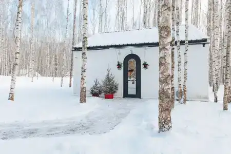 Поле - 155