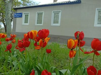 Гостевой дом на Красной 119 - 32